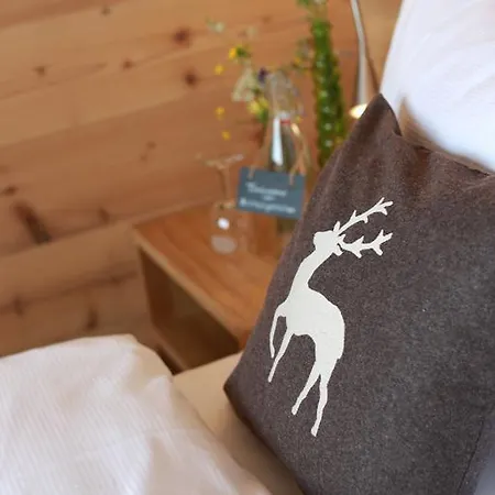 Bettmerhof Мини-отель 3*