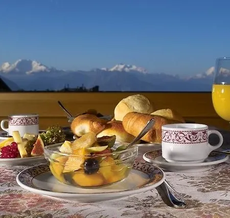 Πανδοχείο Bettmerhof Bettmeralp