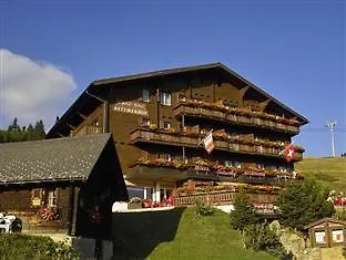 宾馆 Bettmerhof 贝特默阿尔卑
