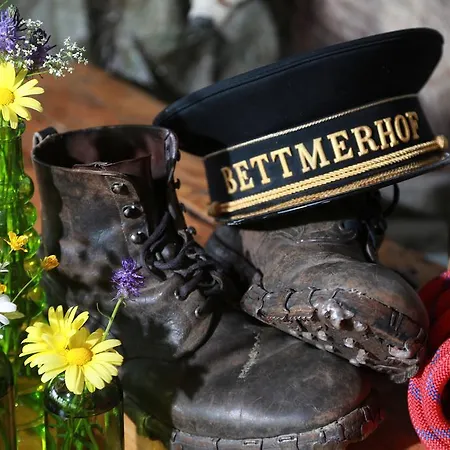 Bettmerhof 宾馆 贝特默阿尔卑