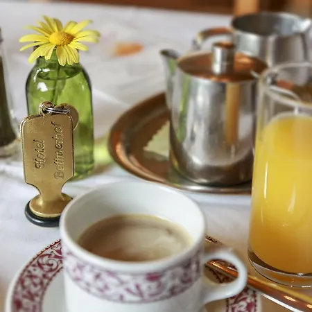 Bettmerhof 宾馆 贝特默阿尔卑